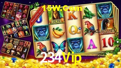 234Vip Salvador - Promo Stats