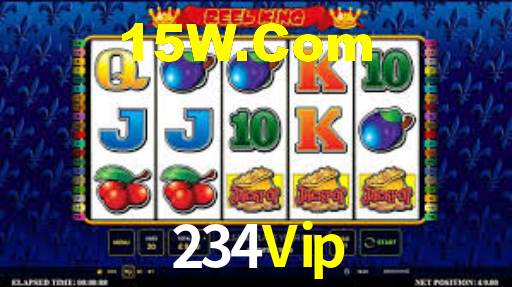 234Vip