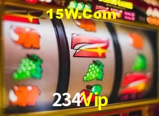 234Vip - Support